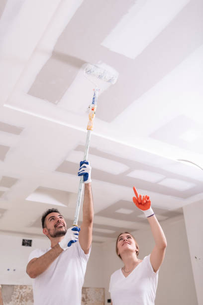 Best Ceiling Drywall Installation  in Upper Ack, NY