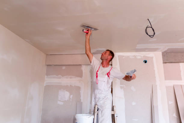 Best Drywall for Remodeling  in Upper Ack, NY